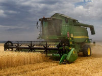campo